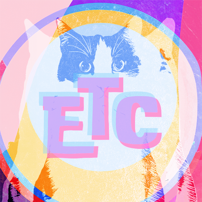 elaine the cat is where it's at